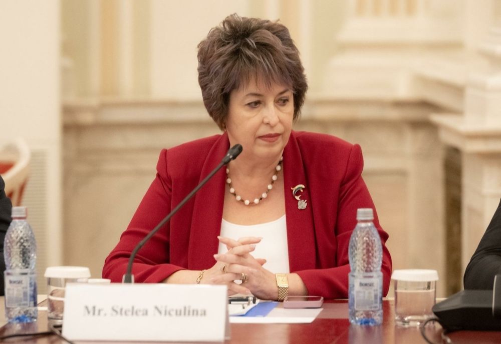 Senatoarea AUR Niculina Stelea: CCR a întârziat prea mult; pe termen lung s-ar putea ajunge la echitate