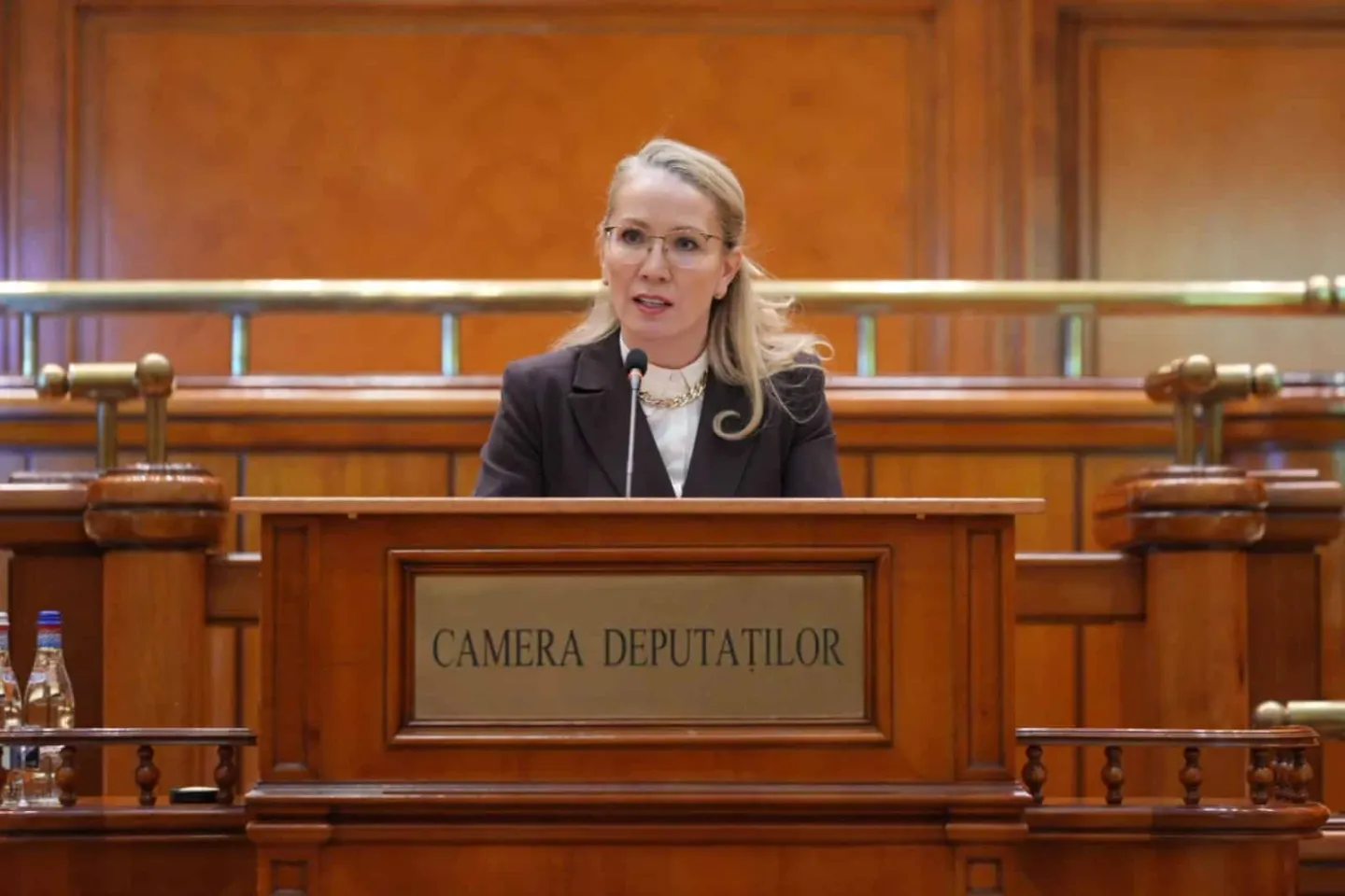 AUR critică noua lege a salarizării. Ramona Bruynseels: „Peste 1,3 milioane de români vor fi afectați”