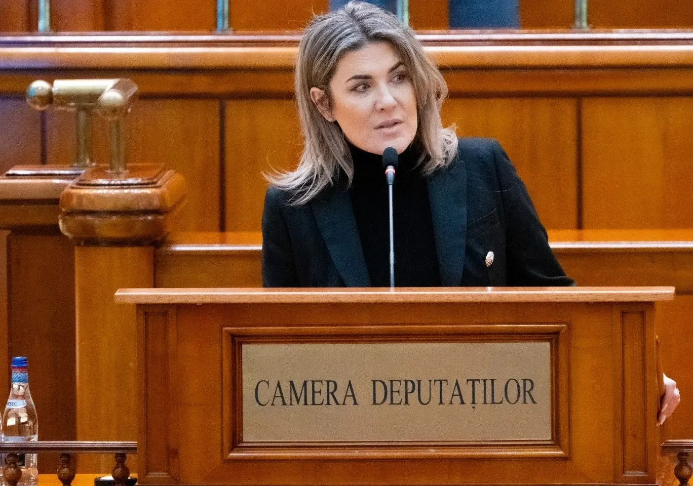Gianina Șerban (deputat AUR): „Ce viitor mai poate avea România dacă, an de an, tot mai puțini români devin părinți și tot mai multe sate rămân doar niște amintiri?”
