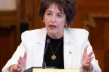 Niculina Stelea (senator AUR): „Legea salarizării unitare s-a transformat într-un joc de tenis cu o pisică moartă”