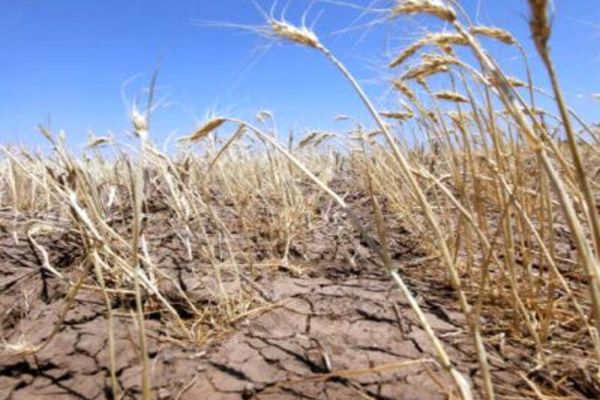 SECETA face ravagii: aproape 20.000 de hectare CALAMITATE - Alimentarea cu apă, restricționată