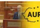 AUR propune o lege privind impozitarea profiturilor corporațiilor