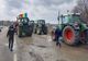 Fermierii își strigă disperarea! Acuzații grave la vârful Ministerului Agriculturii: "Maria Cristina Manda, omul securiștilor, blochează ajutoarele!"