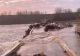 Dezastru la 20 de kilometri de Capitală: podul de peste Argeș de la Budești s-a prăbușit din cauza deversărilor de la baraje